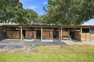 22241 NW 6th St, Dunnellon, FL 34431 - Photo 9