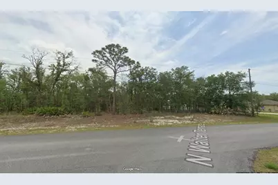 6251 N Walter Terrace, Citrus Springs, FL 34434 - Photo 1