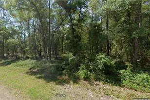 1507 E Derby Dr, Citrus Springs, FL 34434 - Photo 1