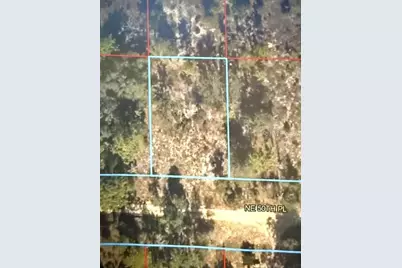 00 NE 50th Place, Williston, FL 32696 - Photo 1