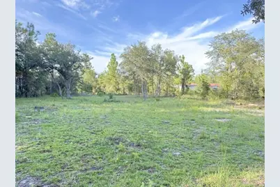 00 NE 50th Place, Williston, FL 32696 - Photo 1