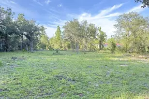 00 NE 50th Pl, Williston, FL 32696 - Photo 1