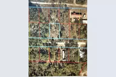 00 NE 50th Place, Williston, FL 32696 - Photo 3