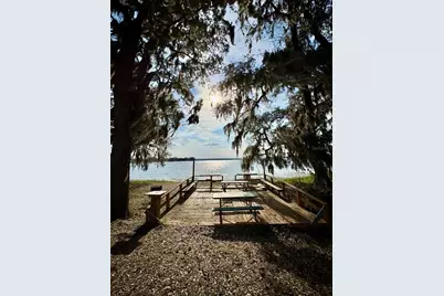 25105 NE 143rd Street, Salt Springs, FL 32134 - Photo 9