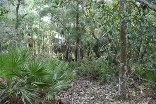 5351 SW Co Rd 347, Cedar Key, FL 32625 - Photo 69