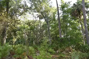 5351 SW Co Rd 347, Cedar Key, FL 32625 - Photo 67