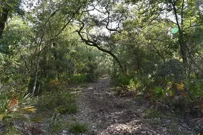 5351 SW County Road 347, Cedar Key, FL 32625 - Photo 61
