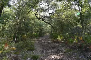 5351 SW Co Rd 347, Cedar Key, FL 32625 - Photo 61