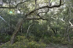 5351 SW Co Rd 347, Cedar Key, FL 32625 - Photo 63