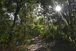 5351 SW Co Rd 347, Cedar Key, FL 32625 - Photo 59