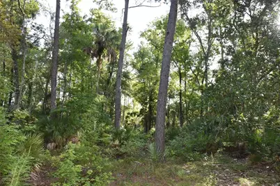 5351 SW County Road 347, Cedar Key, FL 32625 - Photo 65