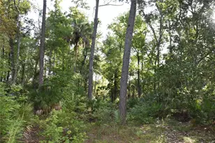 5351 SW Co Rd 347, Cedar Key, FL 32625 - Photo 65