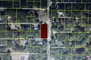 Tbd NE 30th Ct, Citra, FL 32113 - Photo 1
