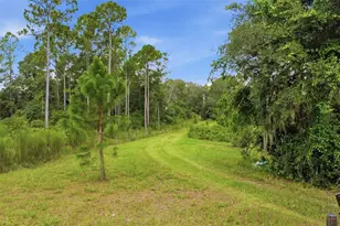 39913 Swift Rd, Eustis, FL 32736 - Photo 5