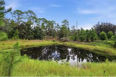 39913 Swift Road, Eustis, FL 32736 - Photo 7