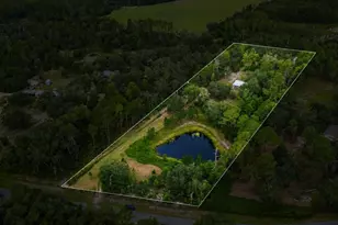 39913 Swift Rd, Eustis, FL 32736 - Photo 43
