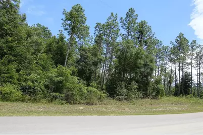 Sw 38th Street & SW 159 Court, Ocala, FL 34481 - Photo 5