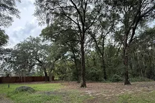 1520 Baden Powell Rd, Hawthorne, FL 32640 - Photo 27
