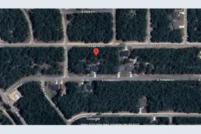 194 E Falcon Street, Citrus Springs, FL 34434 - Photo 3