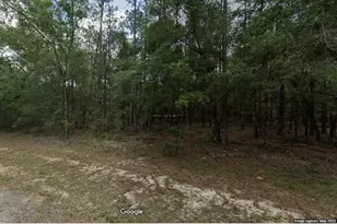 194 E Falcon St, Citrus Springs, FL 34434 - Photo 1