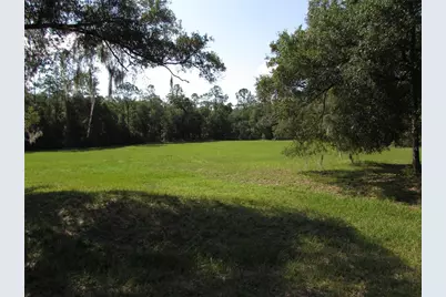 9890 SW 203rd Circle, Dunnellon, FL 34431 - Photo 39