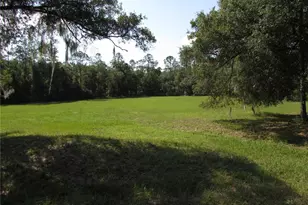 9890 SW 203rd Cir, Dunnellon, FL 34431 - Photo 39