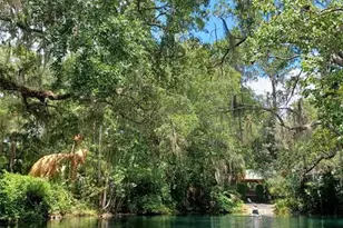 9890 SW 203rd Cir, Dunnellon, FL 34431 - Photo 43
