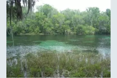 9890 SW 203rd Circle, Dunnellon, FL 34431 - Photo 55