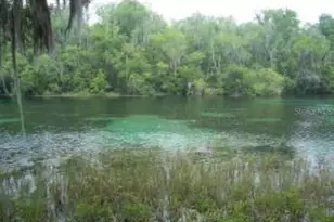 9890 SW 203rd Cir, Dunnellon, FL 34431 - Photo 55
