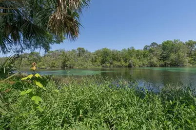 19199 SW 92nd Loop, Dunnellon, FL 34432 - Photo 57