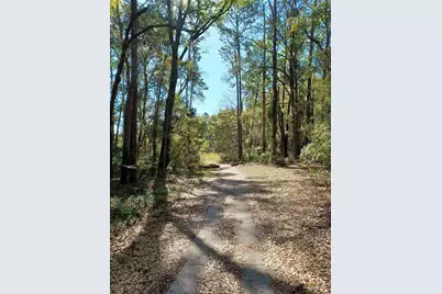 19199 SW 92nd Loop, Dunnellon, FL 34432 - Photo 71