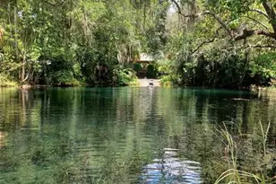 19199 SW 92nd Loop, Dunnellon, FL 34432 - Photo 55