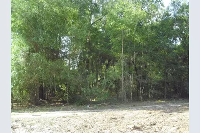 Lot 6 SW 23rd Place, Ocala, FL 34481 - Photo 21