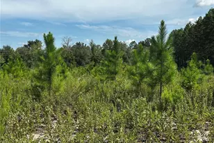 7351 NE 106 Terrace, Bronson, FL 32621 - Photo 39