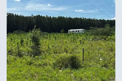 7351 NE 106th Terrace, Bronson, FL 32621 - Photo 7