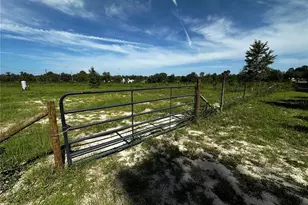 7351 NE 106 Terrace, Bronson, FL 32621 - Photo 37
