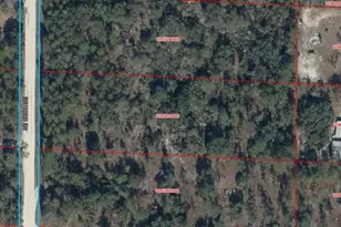 NE 136th Ave, Williston, FL 32696 - Photo 1