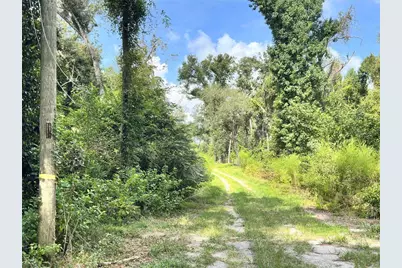 Nw West South Drive, Mayo, FL 32066 - Photo 5