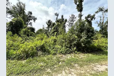 Nw West South Drive, Mayo, FL 32066 - Photo 3