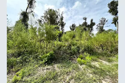 Nw West South Drive, Mayo, FL 32066 - Photo 25