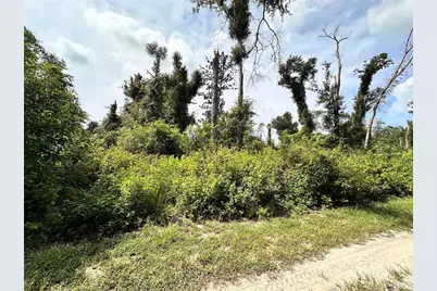 Nw West South Drive, Mayo, FL 32066 - Photo 23