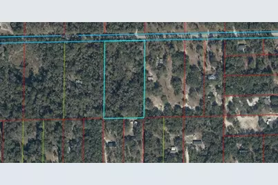 11590 NE 88th Lane, Bronson, FL 32621 - Photo 9