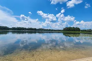 21994 NE 106 Ave, Fort Mc Coy, FL 32134 - Photo 3