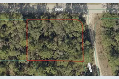 00 SE 132nd Place, Ocklawaha, FL 32179 - Photo 1