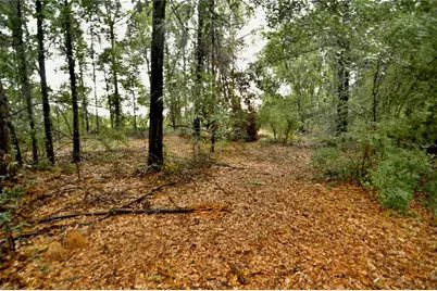 00 SW 39th Ave, Jasper, FL 32052 - Photo 25