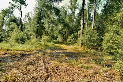 00 SW 39th Ave, Jasper, FL 32052 - Photo 27
