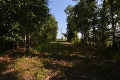 00 SW 39th Ave, Jasper, FL 32052 - Photo 15
