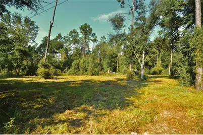 00 SW 39th Ave, Jasper, FL 32052 - Photo 11