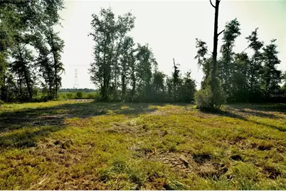 00 SW 39th Ave, Jasper, FL 32052 - Photo 5