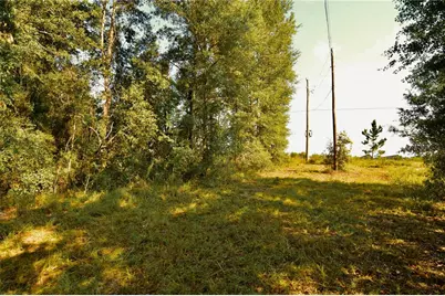 00 SW 39th Ave, Jasper, FL 32052 - Photo 9